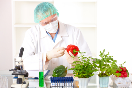 Researcher holding up a GMO vegetable in the laboratory
